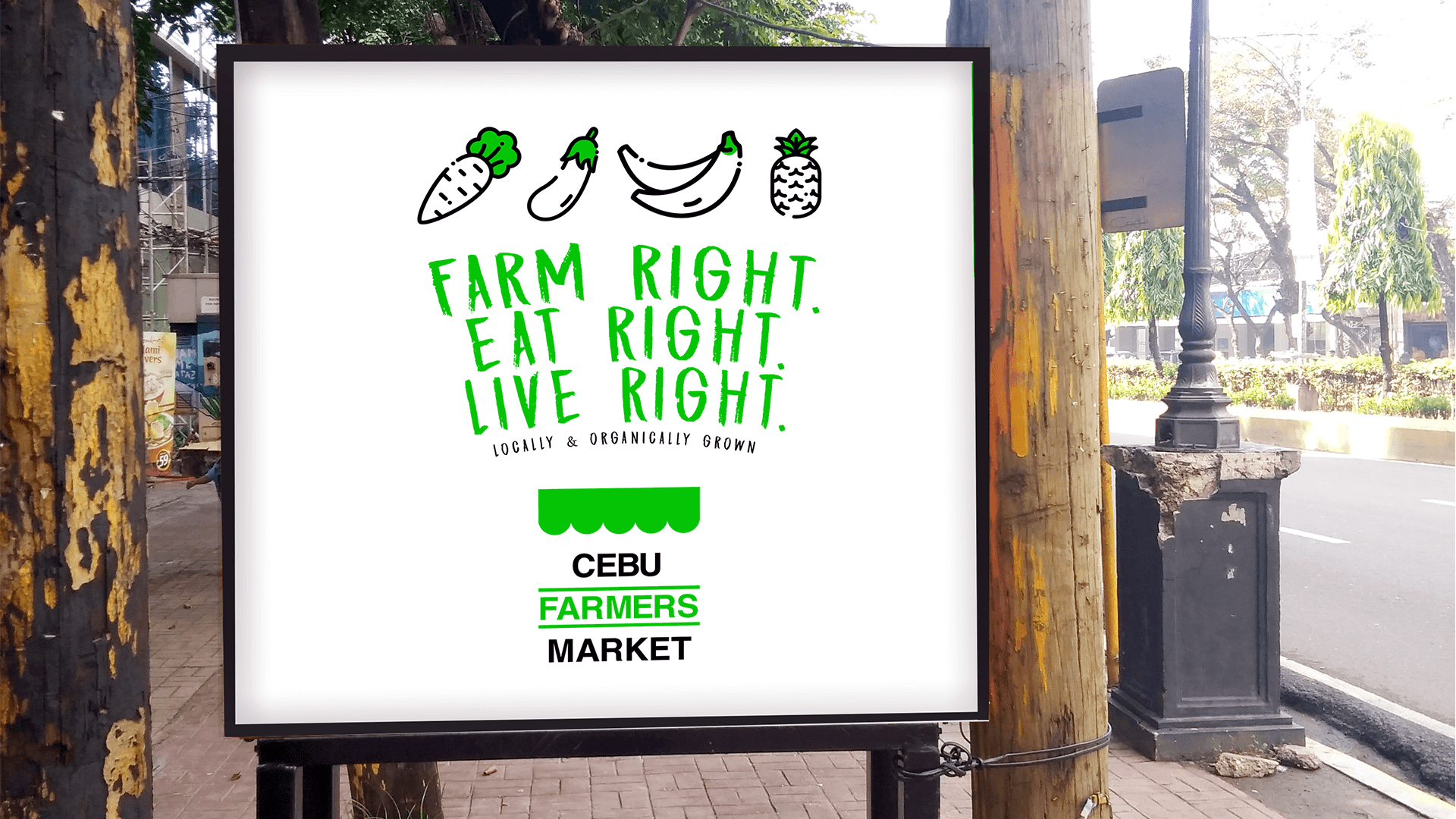 cfm6 cfm6