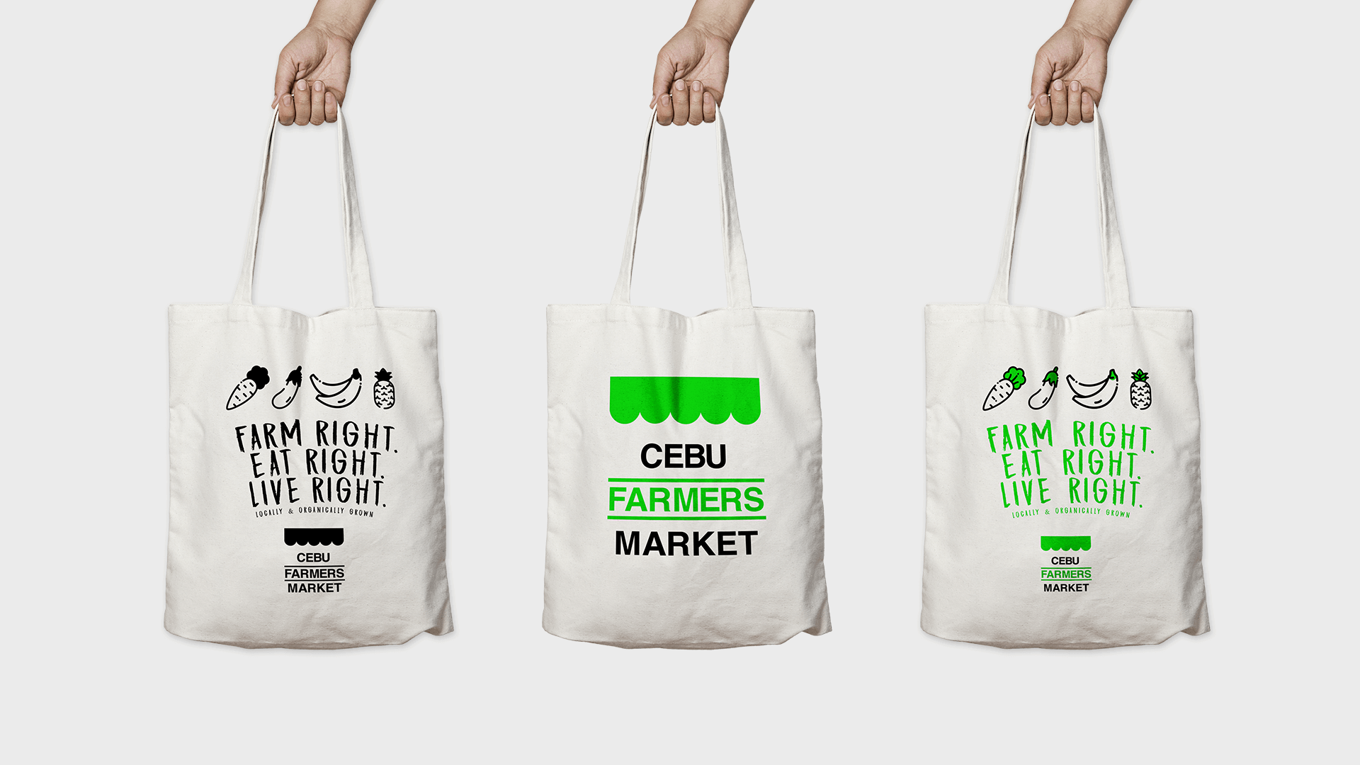 cfm11 cfm11